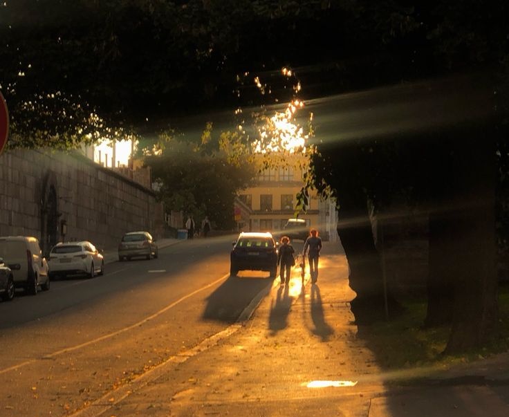 aesthetics (@aesthetics_40) on Twitter photo 