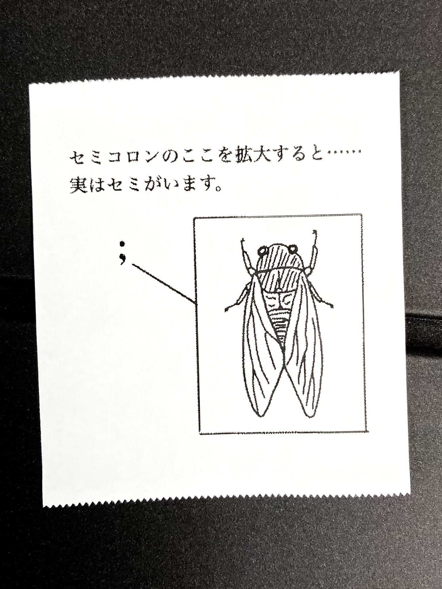 たこはち 8月生産分は完売しました、9月生産分の受注を開始しています