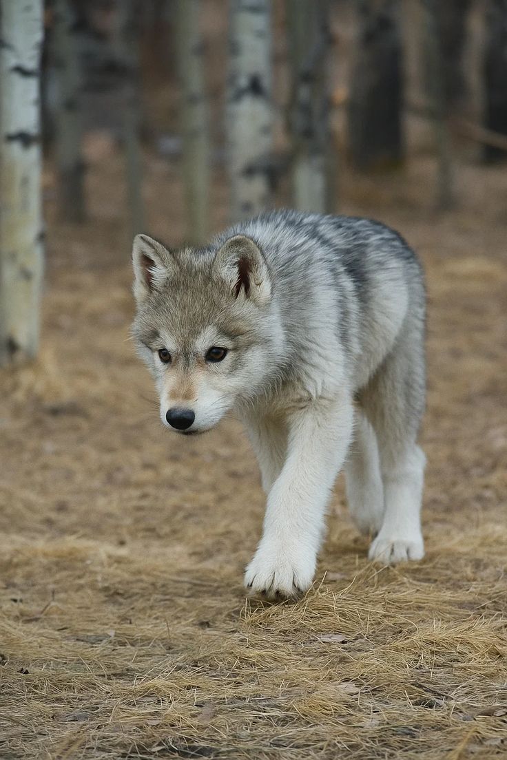 *Great photograph! ❤️*