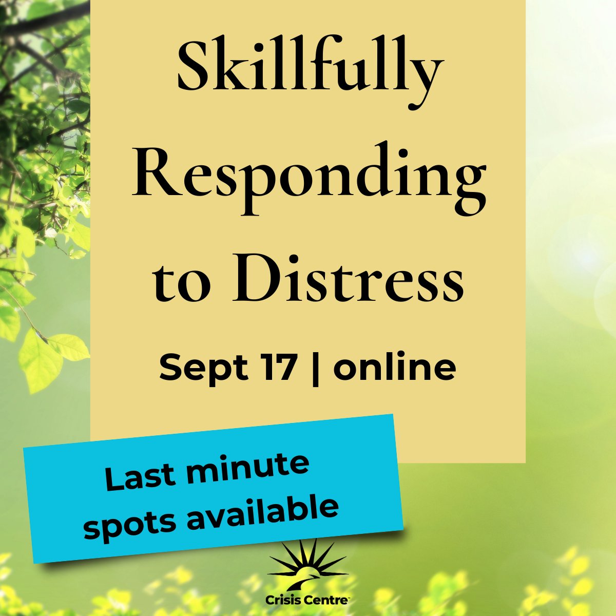 We have some rare spots available at our popular Skillfully Responding to Distress workshop next week. Register here: form.jotform.com/223338045581253

#MentalHealthTraining #CrisisSupport #SkillfullyResponding #BCMentalHealth #CrisisCentreBC