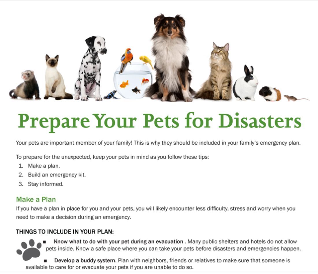 If you need to evacuate, think about your pets or service animals. Not all shelters accept pets, so plan for alternatives.