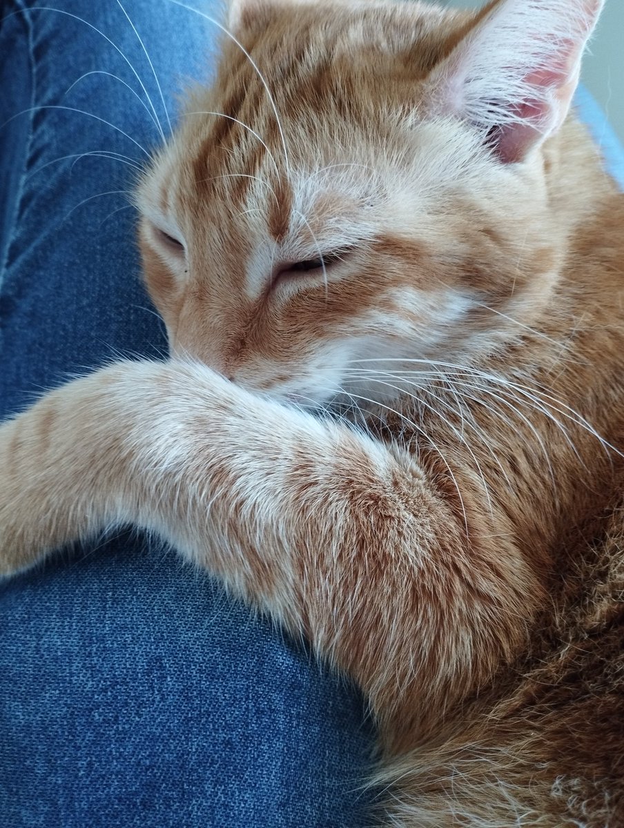 Pas de stream aujourd'hui, je vais chill en attendant la grosse journée de Cup de demain, on se voit dimanche ou lundi soir ! 🫰