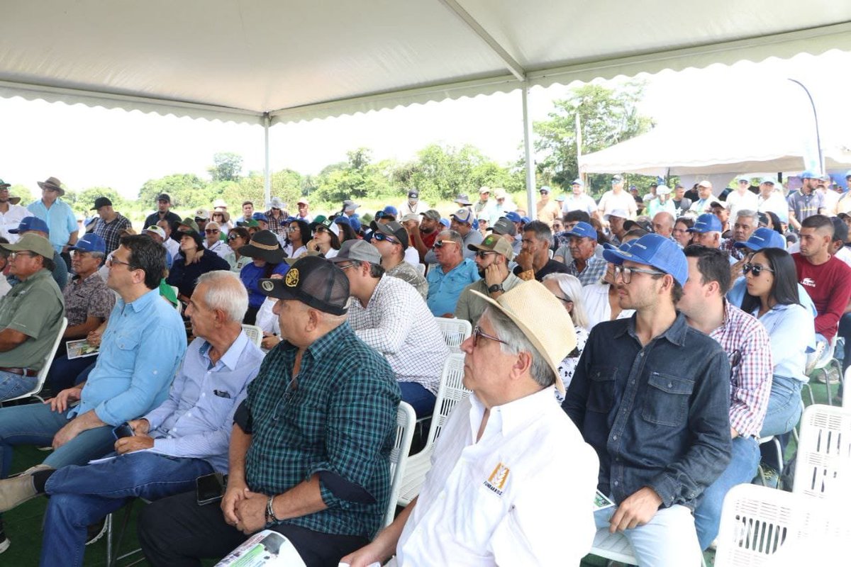 🟢Programa Regionales | Primera UPA Regional Venezuela

El pasado 3 de septiembre, nuestra Regional Venezuela <a href="/poloenred/">poloagropecuario</a>  llevó a cabo su primera Jornada UPA "Expo polo agropecuario cosecha de soya 2025" en Las Majaguas, Venezuela.

Durante la misma se buscó impulsar la