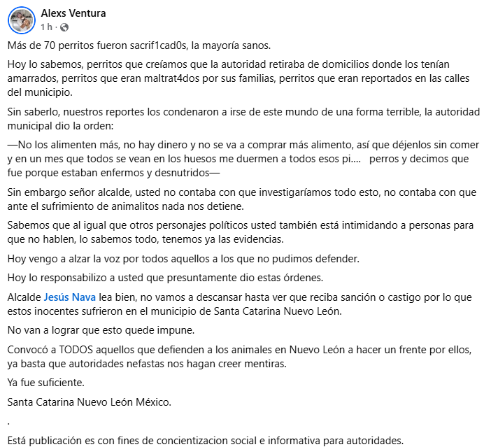 MtyFollow's tweet photo. Pues el @JesusNavaNL se acaba de meter en problemas https://t.co/oYyDOSiWyd