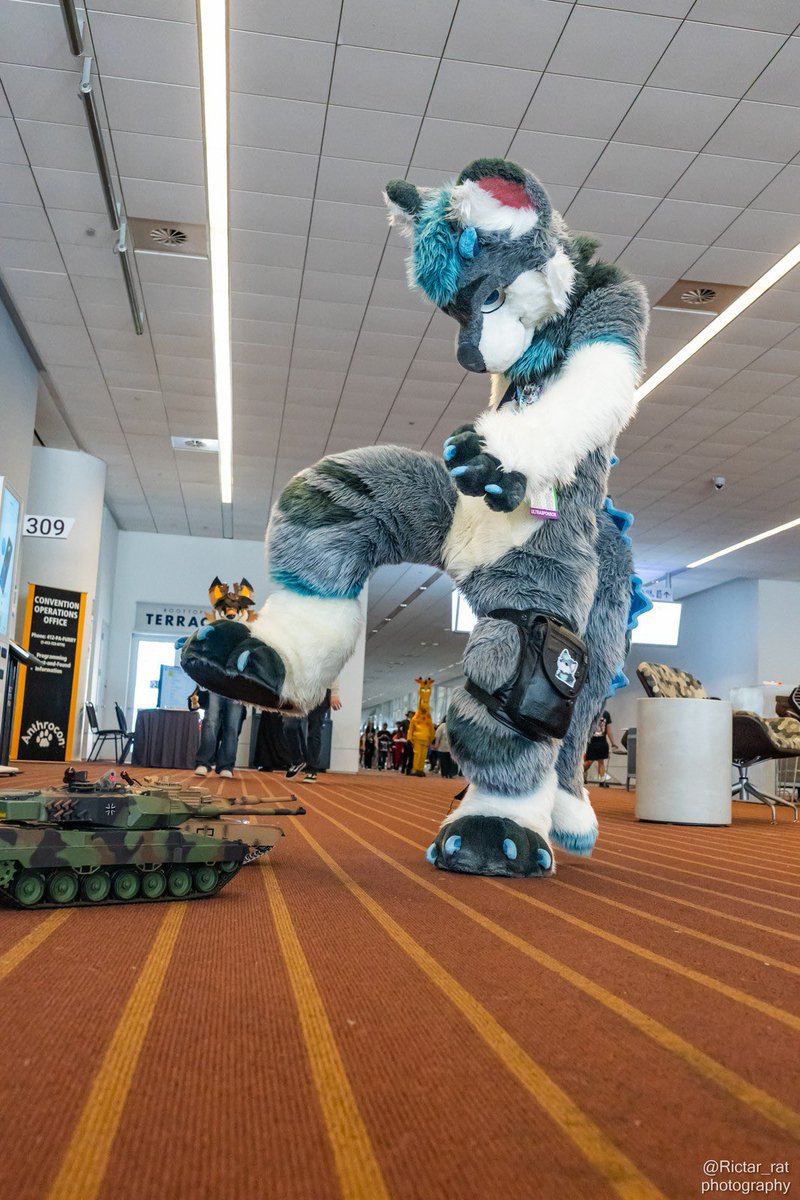 biteyrix's tweet image. Get crushed

📸 @Rictar_Rat 
#FursuitFriday #Furry