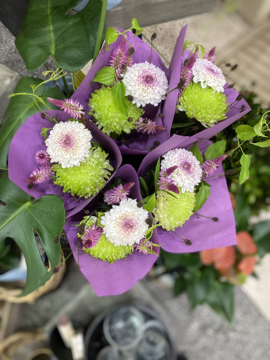 本日、品川ウイング鑑定所
ご予約ありがとうございます

開運館
Address
港区高輪4-10-8
ウィング高輪１階
Access
ＪＲ「品川駅」高輪口徒歩1分
Tel
03-3445-1008
Open - Close
11：00～21：00
高山玉麗
#金運
#仕事
#青竜返首
#14日吉方取り北
#15日敬老の日