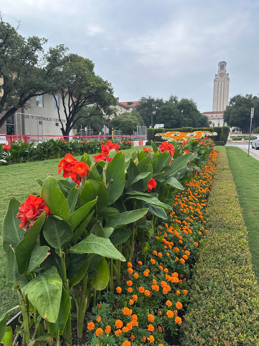 NaloSeed's tweet image. Took a walk around the beautiful @UTAustin! 

#WorkLifeTips: Take a breather to #reflect and #bloom.

Learn more about your marketing and web development team: naloseed.com/about

#AustinMarketer #CreativeAgency #WebDeveloper #WomenInTech #ATX #UTAustin #Longhorns