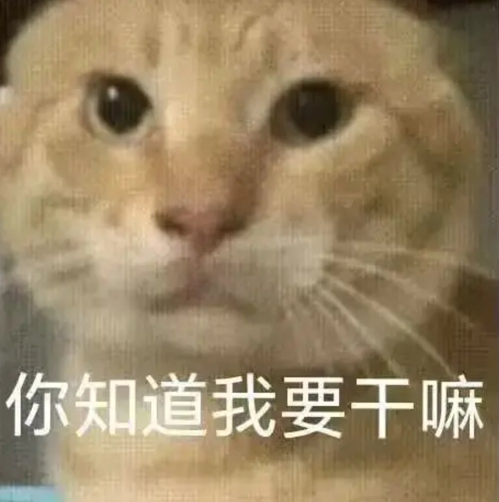 毒参茄 tweet media