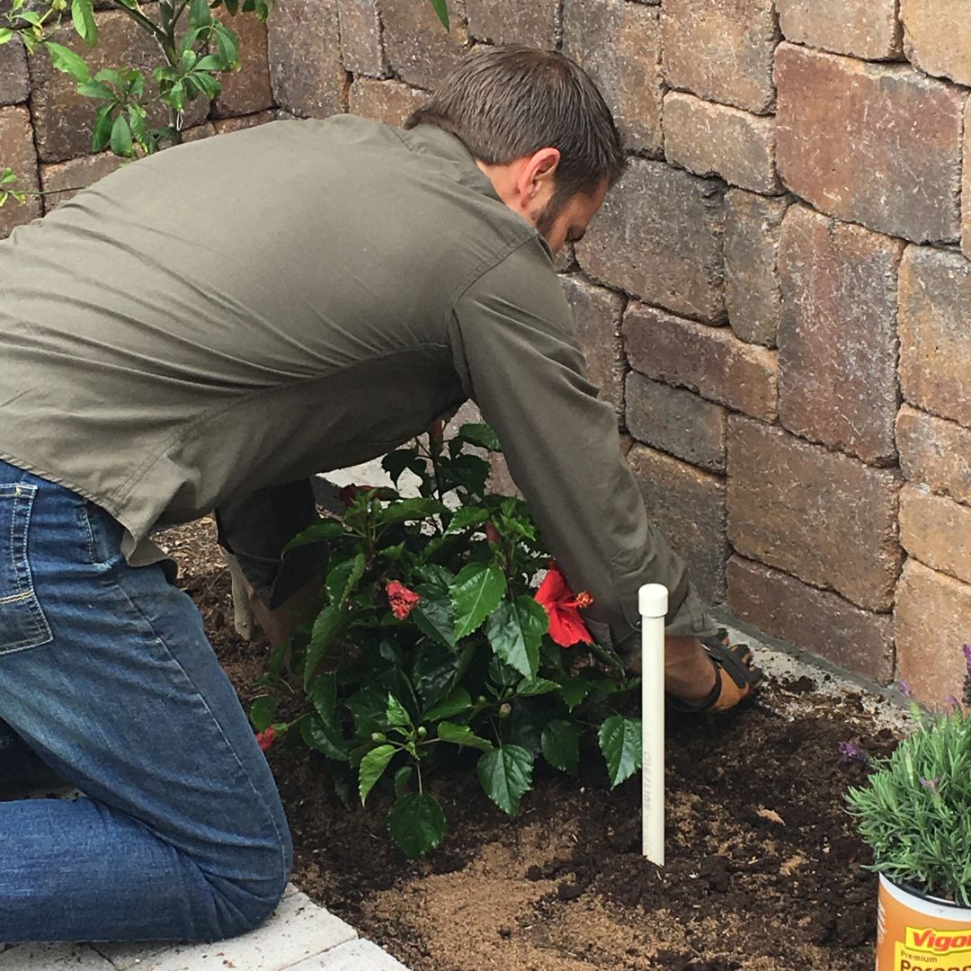 Want to grow your own health? Start with a microclimate map + 3 simple steps:

Healthy Soil
Healthy Starts
Healthy Routine

Avoid binge gardening—start small, stay consistent.

Learn more at agriscaping.com/growing-your-o…

#GrowYourHealth #Agriscaping #GardenTips #HealthyLiving