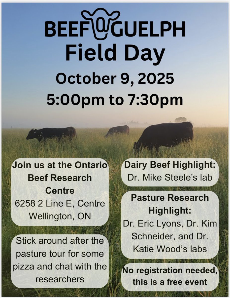 Stephanie Lam tweet media