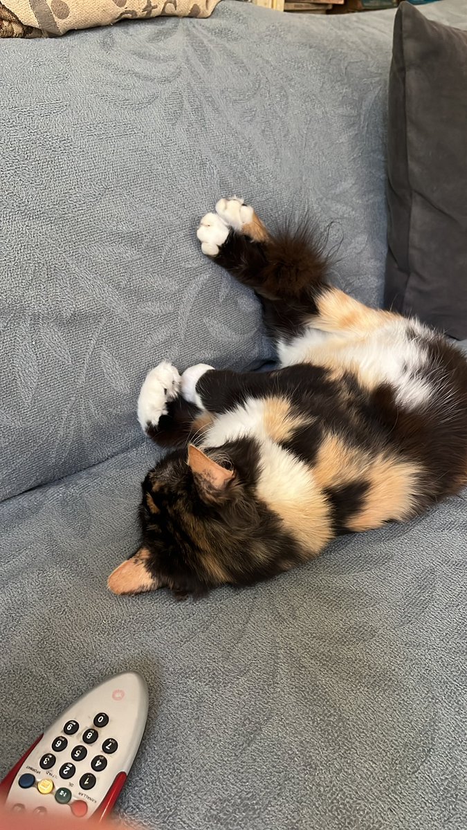 Şöle ayamklarımı kaldırıym yorultum