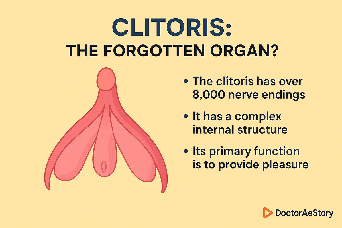 คุณรู้ไหมว่า…คลิตอริสมีเส้นประสาทมากกว่า 8,000 เส้น ✨แต่หลายคนอาจไม่รู้ตำแหน่ง หรือไม่เคยให้ความสำคัญเลยด้วยซ้ำ

👉 คลิตอริสไม่ได้มีแค่ตุ่มเล็ก ๆ ที่เห็น แต่จริง ๆ แล้วโครงสร้างยาวและซับซ้อนกว่าที่คิด
👉 หน้าที่หลักของมันคือ ‘สร้างความสุข’ โดยเฉพาะ
👉 การเข้าใจคลิตอริส