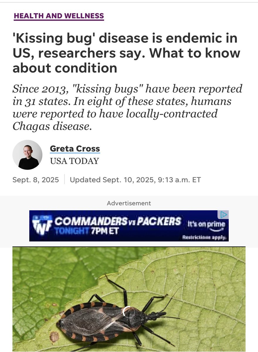 LordCache_'s tweet image. 👀👀#ChagasDisease #KissingBug ⚠️⚠️⚠️⚠️ #NewsReports #MedicalNews
