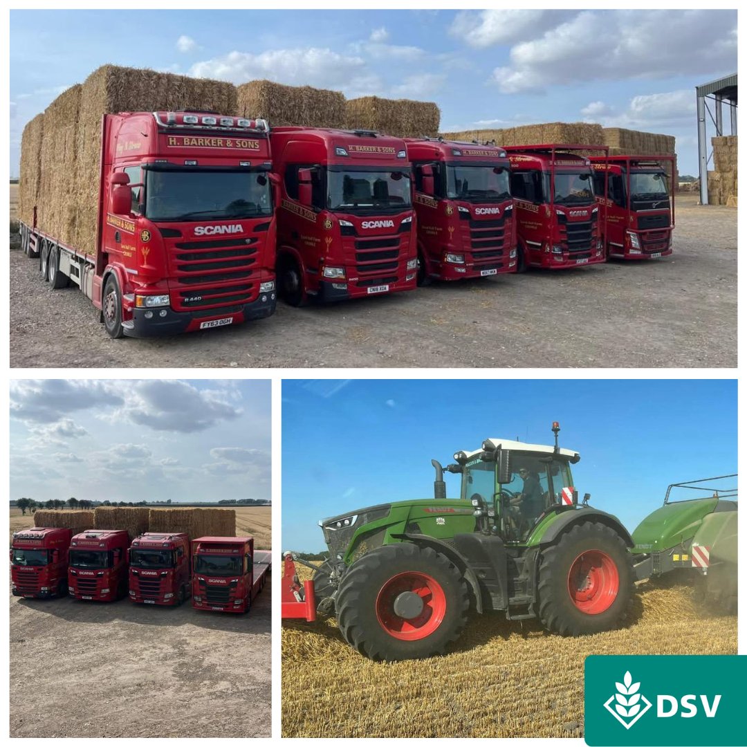 Across the fields he worked, Fred Barker noticed a significant benefit: more bales per acre. “Compared to some other varieties, Champion yielded really well. We definitely baled more from the Champion fields than from others,”