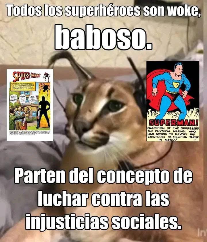 𝐔𝐧 𝐜𝐞𝐥𝐞𝐬𝐭𝐢𝐚𝐥𝐬𝐚𝐩𝐢𝐞𝐧 𝐥𝐨 𝐡𝐢𝐳𝐨 (@un_celestialsap) on Twitter photo 