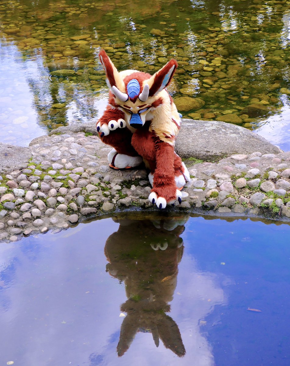 Touching water! - Almost
What do you see in the reflection? 
Wish you a wonderful #FursuitFryday