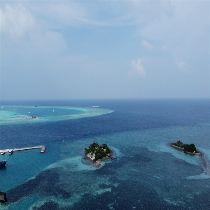 🎾🧱🙅🦔😟
The sun shines on the water, making it sparkle like diamonds.