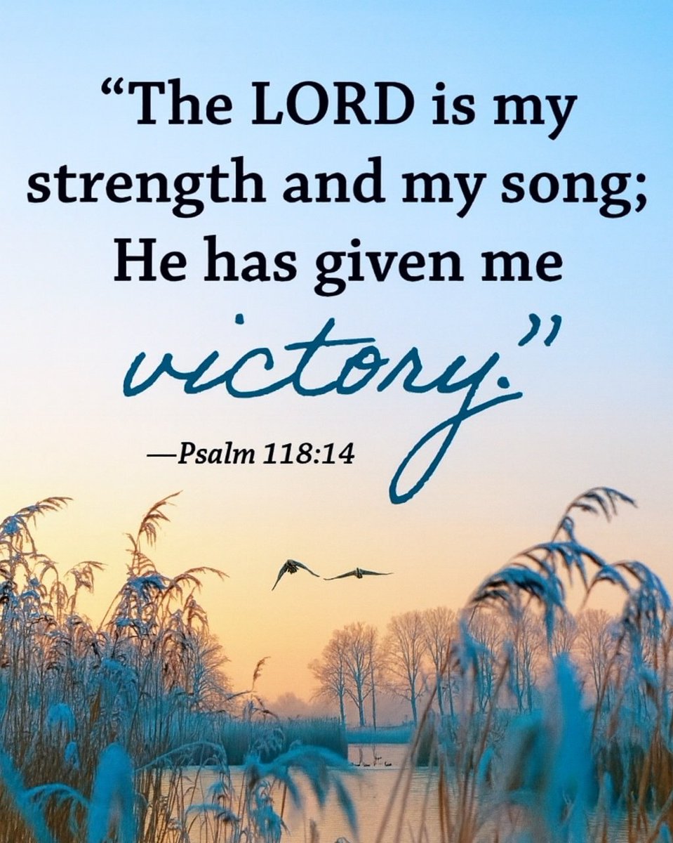 The__Bible7's tweet image. Psalm 118:14