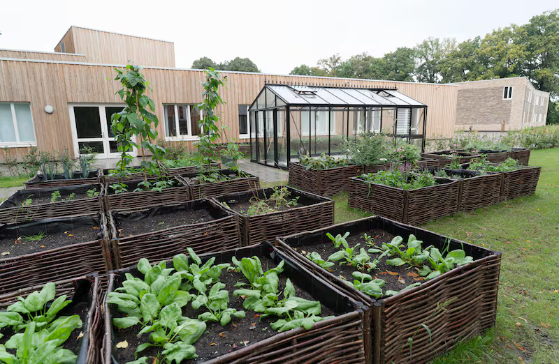 Sorry landgenoten, maar onze overheid heeft wel tijd, geld en middelen om weer een AZC uit de grond te stampen terwijl uw volwassen kinderen nog thuis wonen. In Almelo worden de asielzoekers werkelijk van alle gemakken voorzien, wat een luxe!

Bron: almeloosweekblad.nl/algemeen/algem…