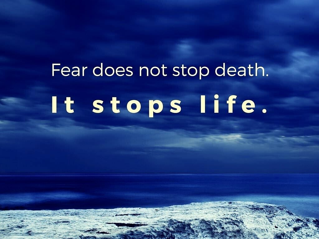 <a href="/AVGirl4Life/">American Values 🇺🇸</a> “Fear is the little death.”  Bruce Lee