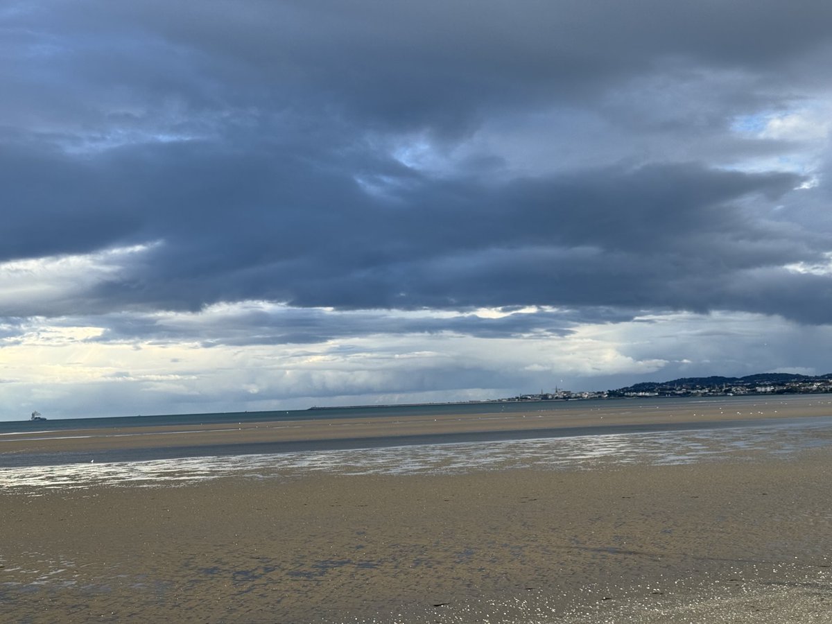 Suzanne Indja tweet media