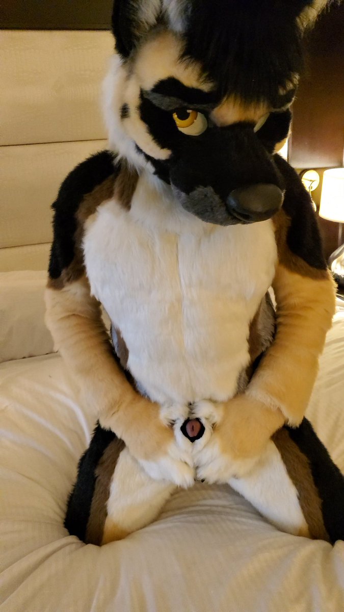 Getting excited makes the sheath tighter feeling 💄🥴 — time to slide it back and let it all hang out 🦴🪢

#fursuit #murrsuit #fatsheathfriday #nsfw