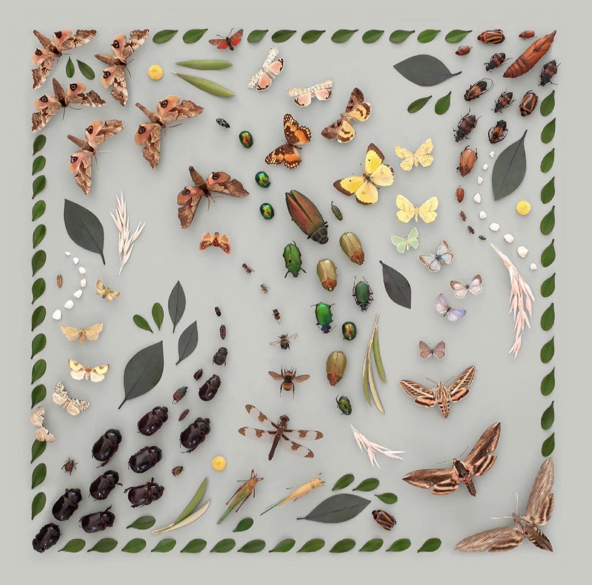 Kristen Meyer’s Organic Circuitry medium.com/p/kristen-meye…