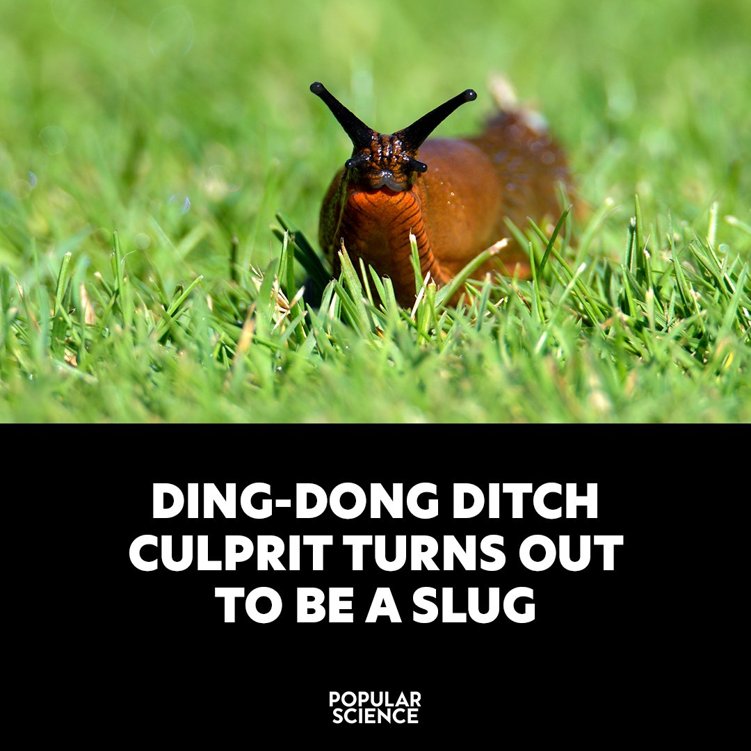 Popular Science tweet media