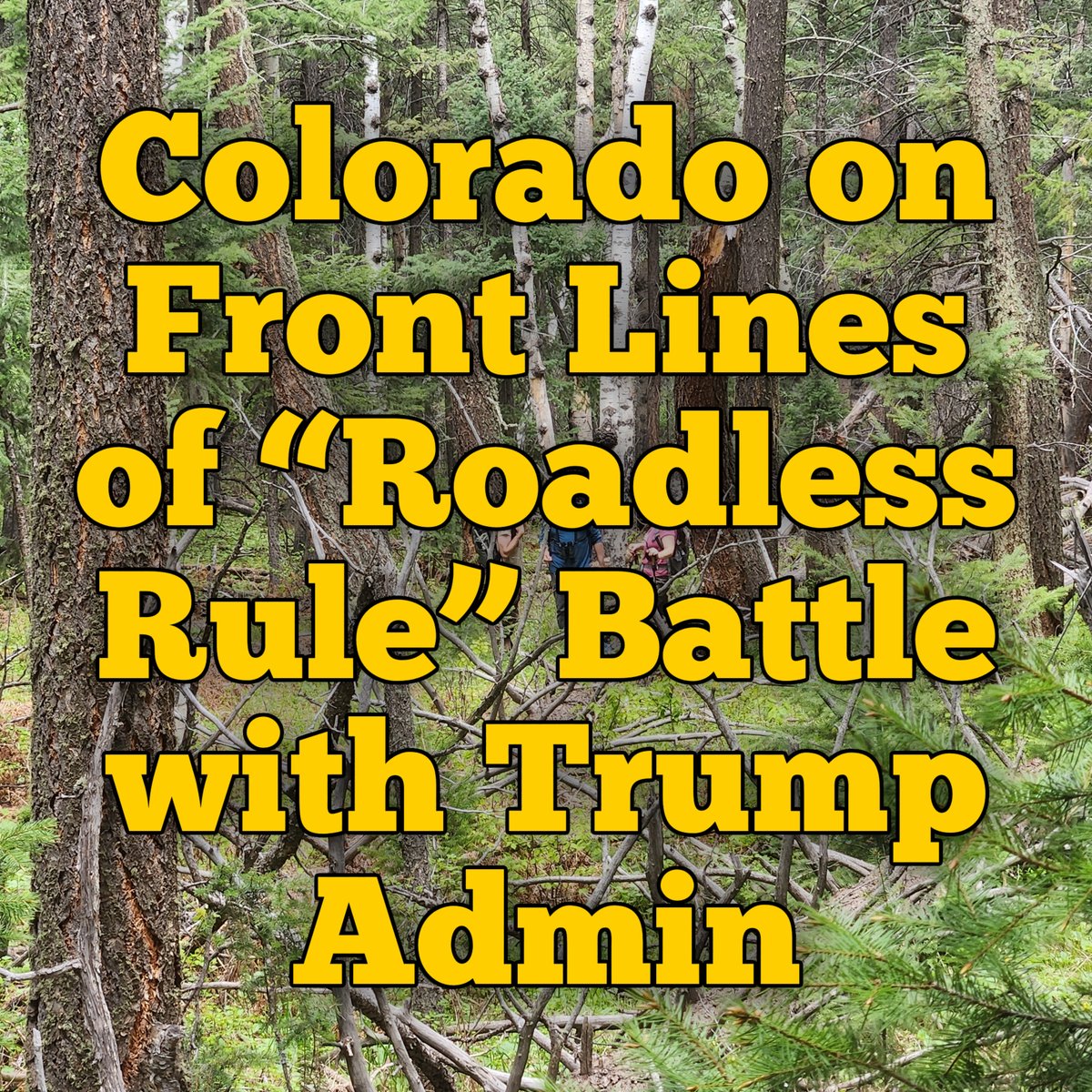 ecointegrity_us's tweet photo. Colorado on Front Lines of “Roadless Rule” Battle with Trump Admin
https://t.co/UnDfYIfF9z
#colorado #roadless #roadlessrule #publicland #publiclands https://t.co/EM92I1l2xN