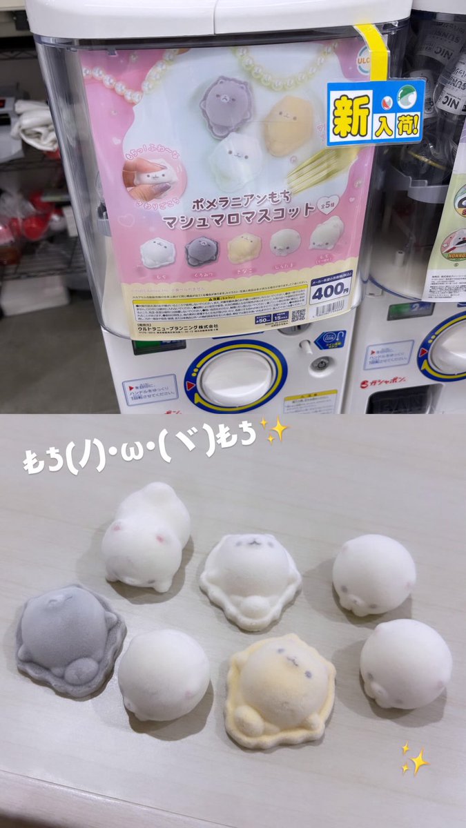 O143_py's tweet photo. 最近ガチャたくさんでうれしい≡(⊇♡.♡)✨️ https://t.co/j6u674cT2M