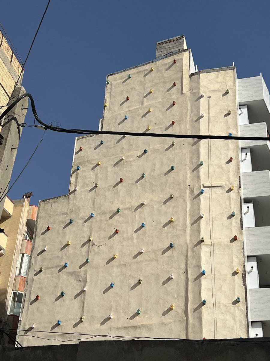 Mohammadzmz's tweet image. تو تبریز، طی یه حرکت قشنگ یه ساختمون واسه پرنده‌ها کلی لونه گذاشته.