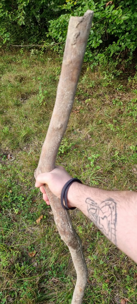 Touching grass, collecting sticks.