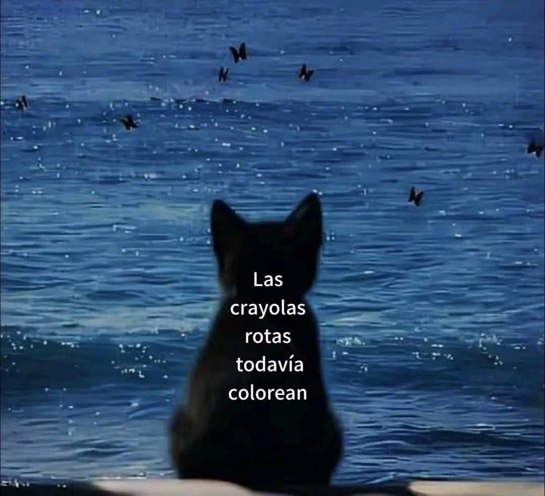 Ꮆㄖᗪ丂, Monsters & Dogs (Multirol/Origins) tweet media