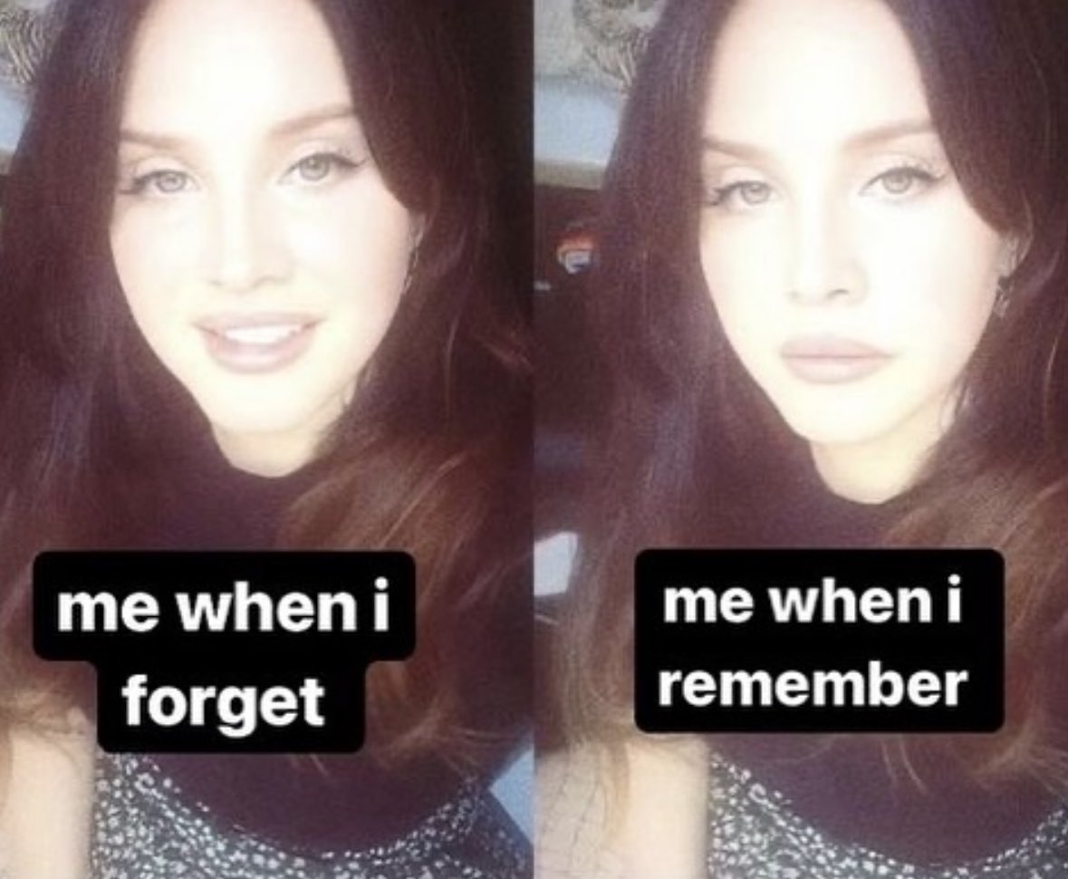 northstardoll's tweet image. 