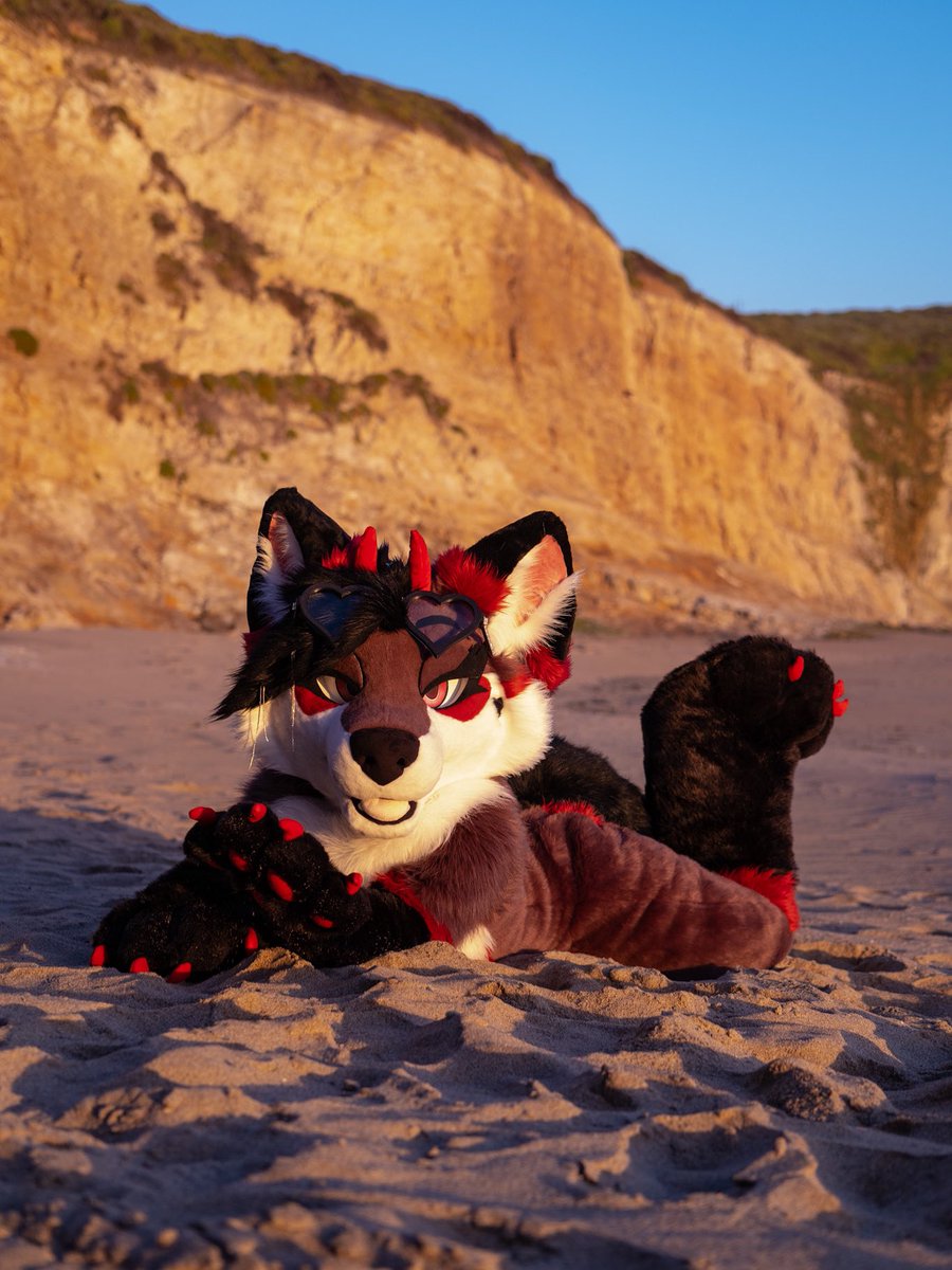 KaiVixie's tweet image. Would you lay in the sand with me? 🦊☀️

#fursuitfriday #foxfriday