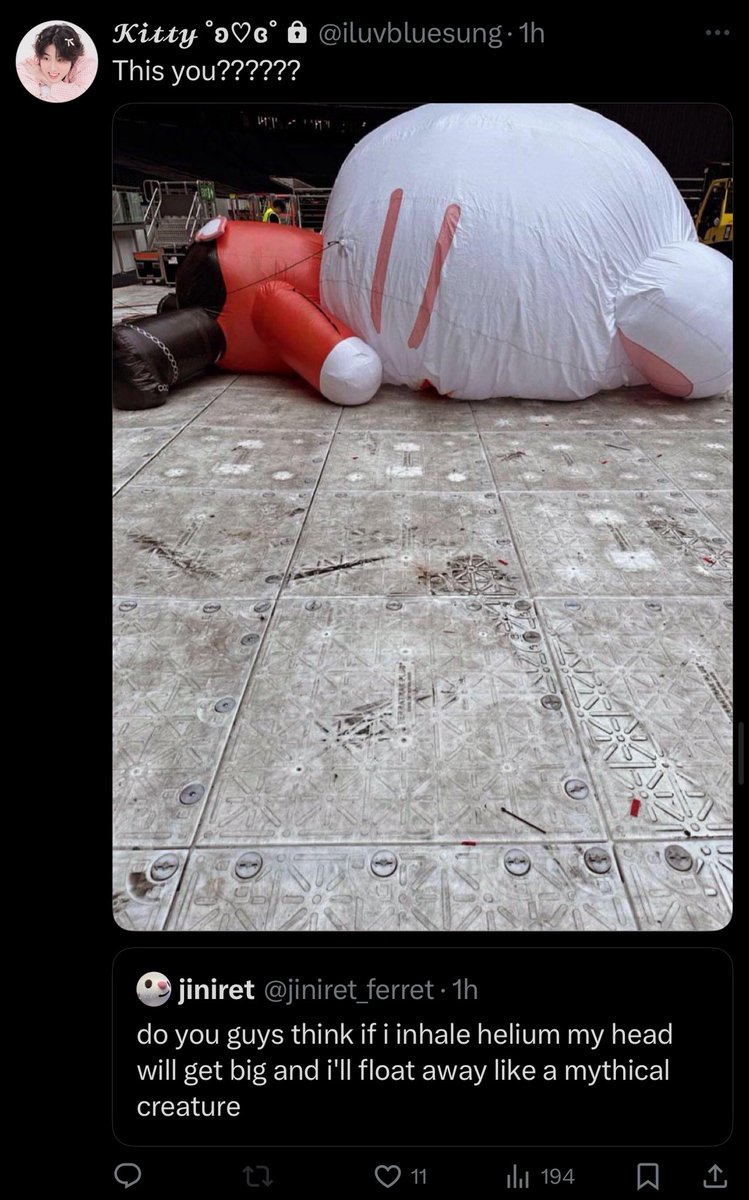 jiniret_ferret's tweet image. ???????????