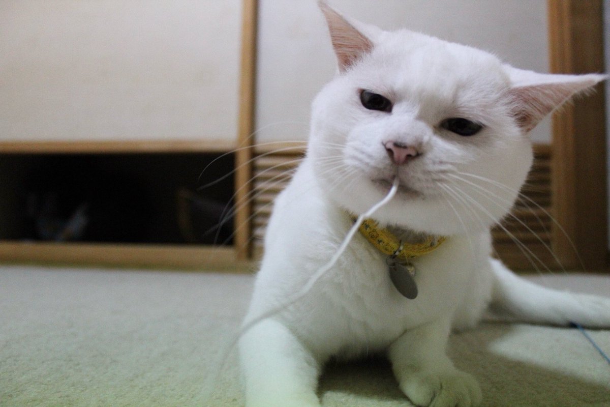 そうめんを食べる季節は終わったぞ