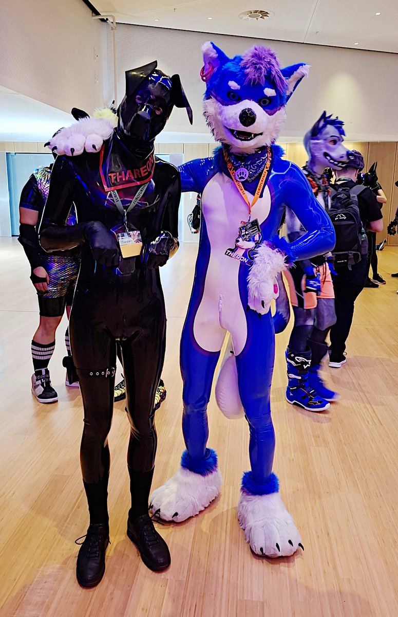 Eurofurence was very shiny and squeaky this year. Found this cute black labrador at the rubberfurs meetup 😀

Happy #FursuitFriday

📷 Lance Aven