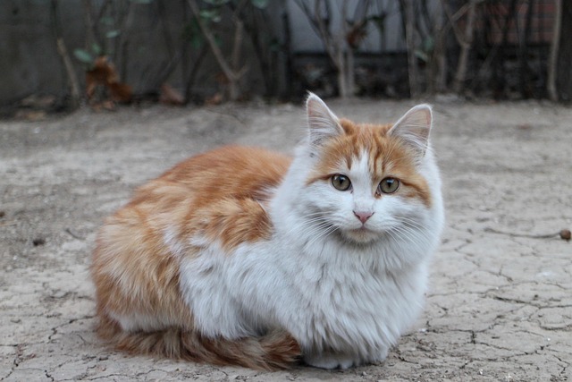 Chudai_jav_oPyD's tweet image. Instagram is a dynamic social platform constantly changing, adapting to user needs and trends in the ever-evolving digital landscape.