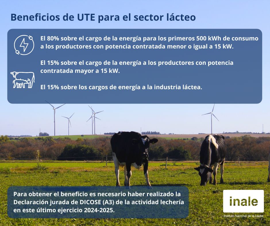 🟢 Los productores y empresas de la cadena láctea pueden acceder a descuentos en la tarifa eléctrica de <a href="/utecomunicacion/">UTE</a> durante 2025.

📅 Plazo: 31/1/2026
👉 Más información y formularios: inale.org/beneficios-en-…