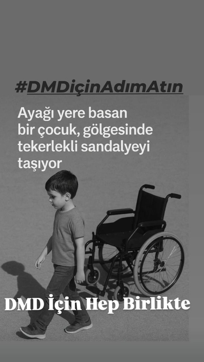 🪁 cemile (@cemiledemir_) on Twitter photo 