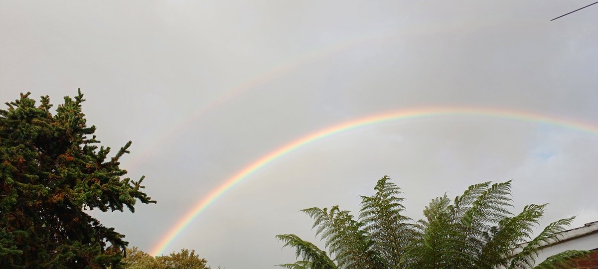 So the boss says we will have a BBQ this evening, forecast says dry by now. Wrong!