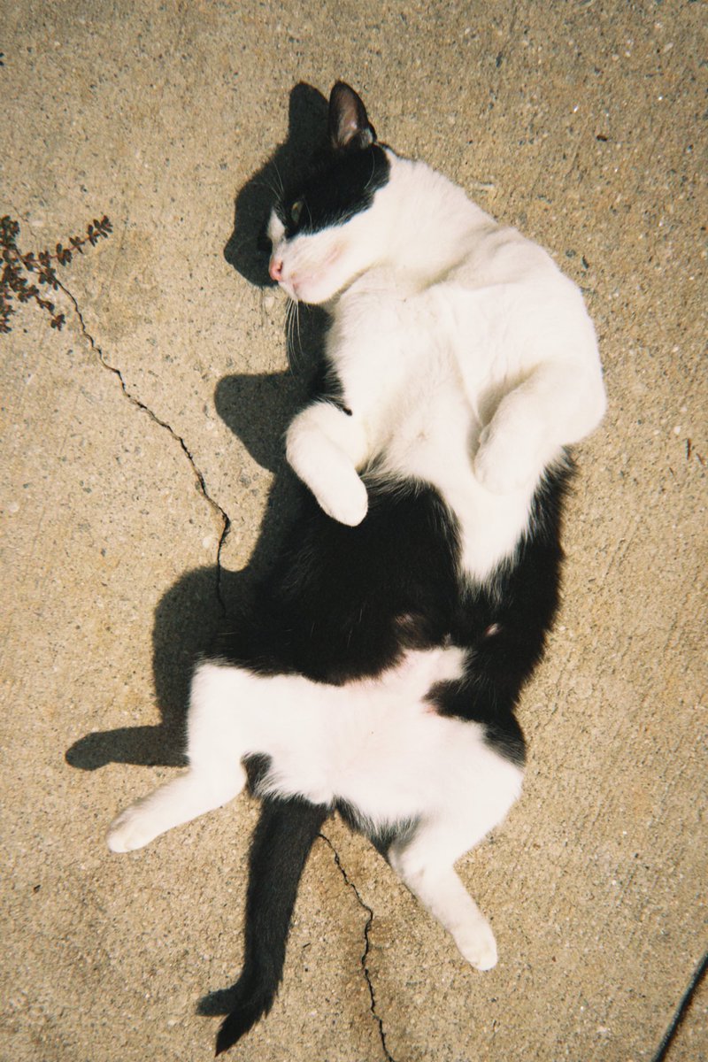 Print Shoot Repeat tweet media