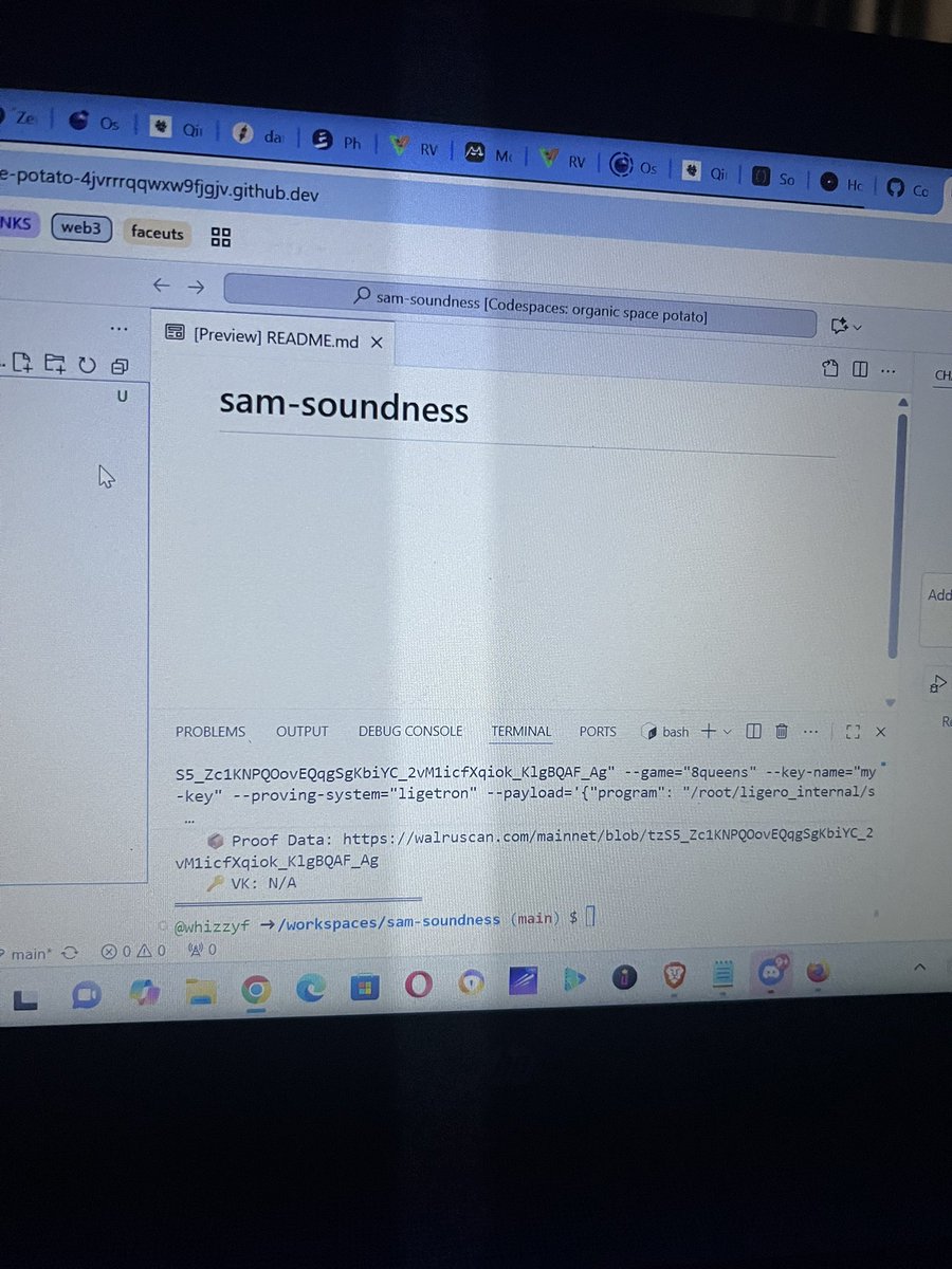 Another <a href="/SoundnessLabs/">Soundness</a> proof, 
They’re leading the zk race.