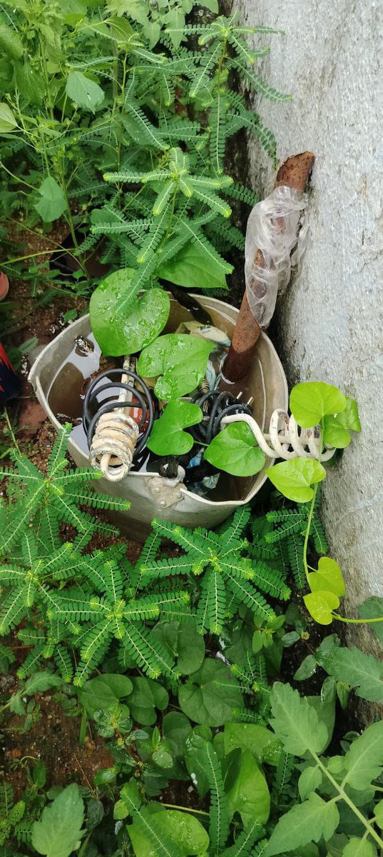 District Panchayat Officer, Siddipet tweet media