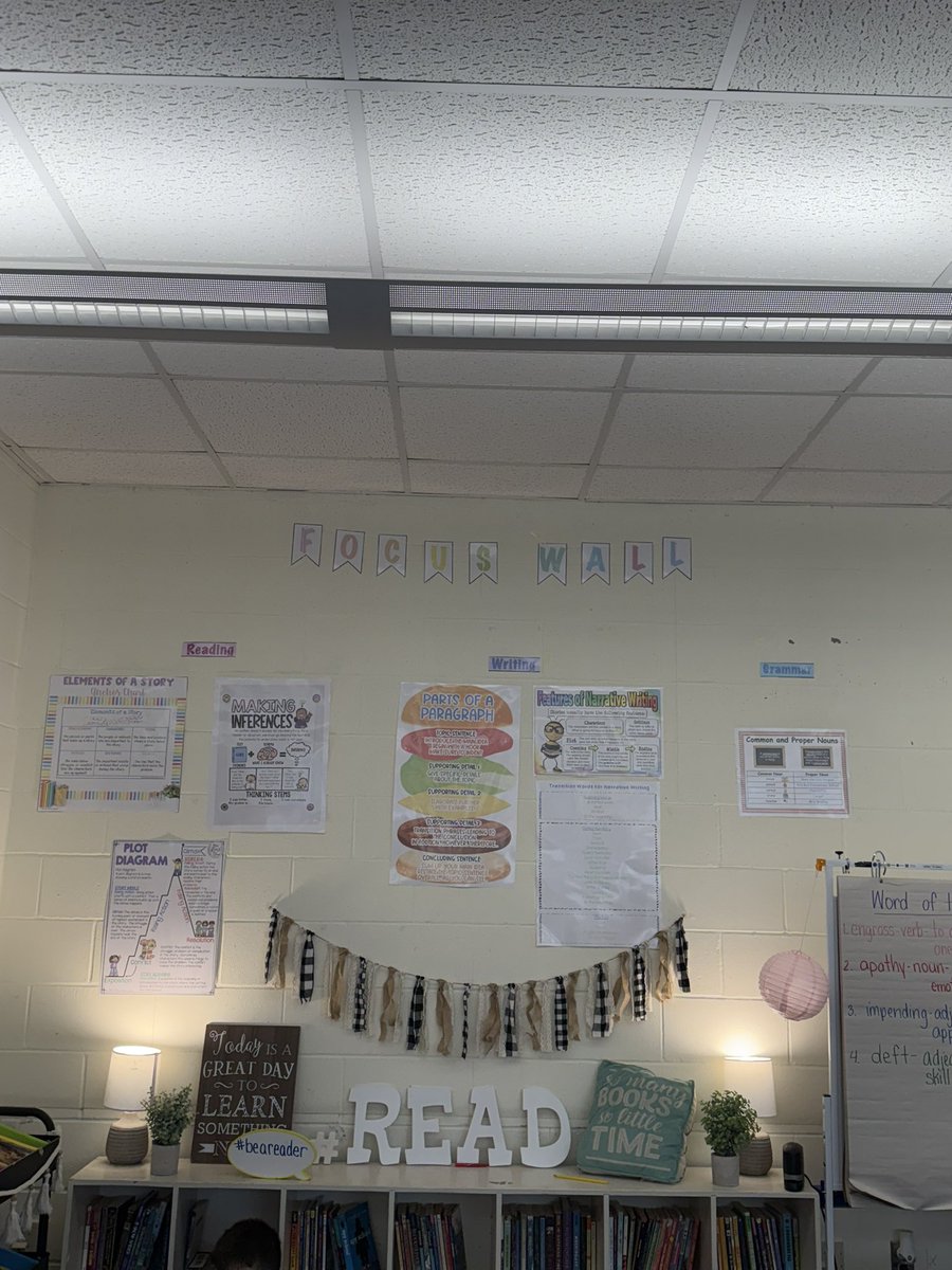 Robin Bayer tweet media