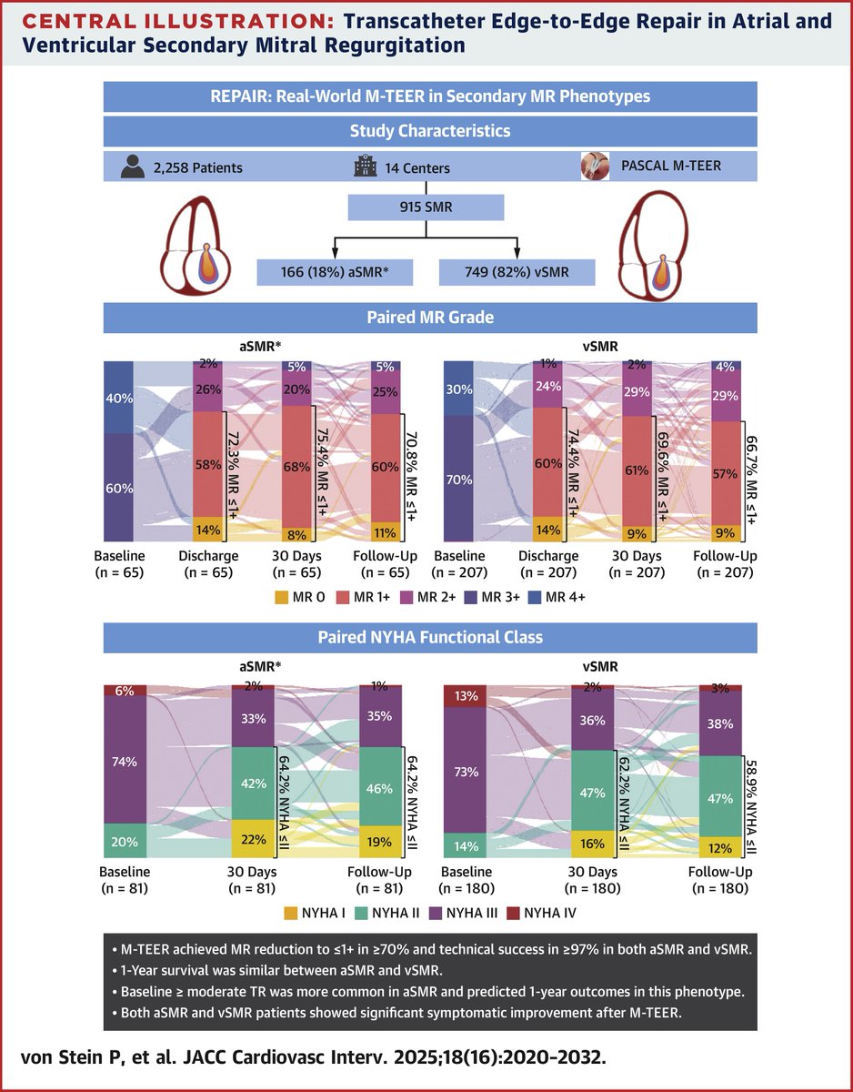 JACCJournals's tweet image. In 915 real-world #SMR patients treated with the #PASCAL #MTEER system, #aSMR &amp;amp; #vSMR achieved similar MR reduction &amp;amp; survival. Baseline ≥moderate TR was prognostic only in aSMR. jacc.org/doi/10.1016/j.…

#JACCINT @VictorMauriMD @philippvstein