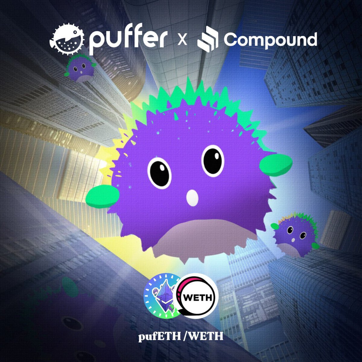 Puffer Finance 🐡 tweet media
