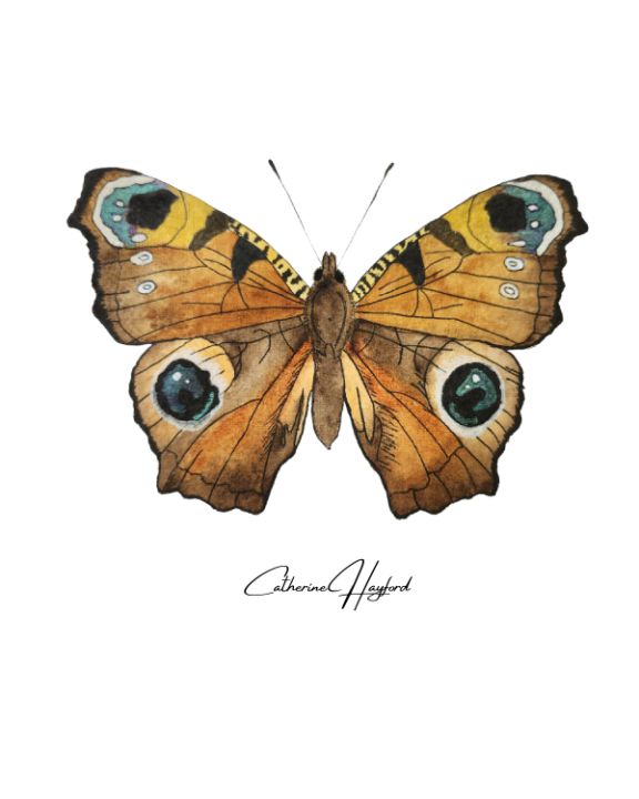 artmeinspired's tweet photo. Art of the Day! ""The Moth"". Buy at: https://t.co/xliLqTQvT6 https://t.co/VkBiQ7ZYOG