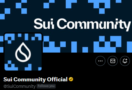 Finally the Sui Community Official account have its best username

GM <a href="/SuiCommunity/">Sui Community Official</a>